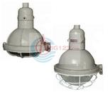 eD54 series increased safety explosion-proof lights