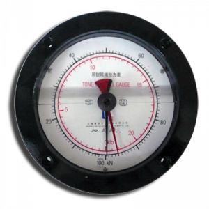 Tong Torque Indicator