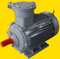 YB3-250M-4W YB2-250M-4W Explosion proof motor