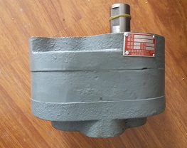 LWBZ-100  LWB2-100  Lubricating Pump