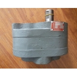 LWBZ-100  LWB2-100  Lubricating Pump