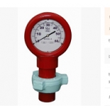 YK200Y Seismic Pressure Gauge