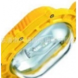 BC9100 Type Explosion-proof floodlight