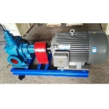 BW-29/0.36  Large flow gear pump