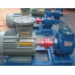  60YPB-24  YPB slider pump