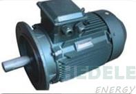 YX3-132S2-2   Motor