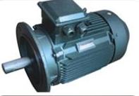 YX3-132S2-2   Motor